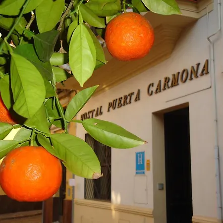 Puerta Carmona 2* Seville