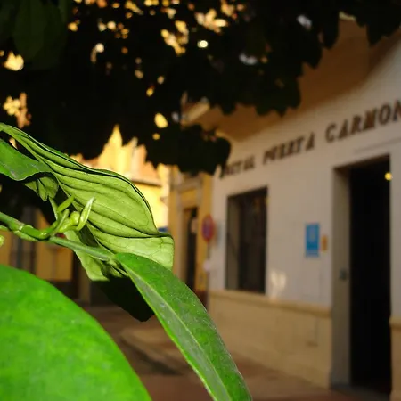 Puerta Carmona Siviglia